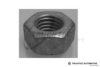 TRUCKTEC AUTOMOTIVE 81.12.002 Nut